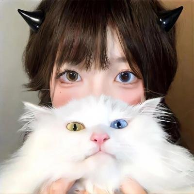 探案拍档 第三季